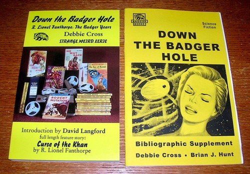 Down the badger - badger, hole